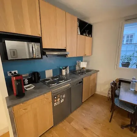 Apartment Flat In Face To Seine River *